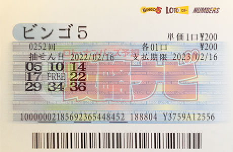 ビンゴ5 第252回 抽選結果